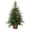 2.5ft. Pre-Lit Christmas Tree with Planter, Clear Lights